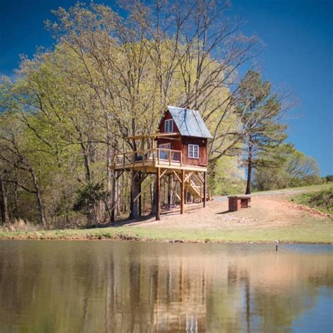 Treehouse vineyards - Treehouse Vineyards: Loved staying in the Papa's dream treehouse - See 212 traveler reviews, 160 candid photos, and great deals for Monroe, NC, at Tripadvisor.